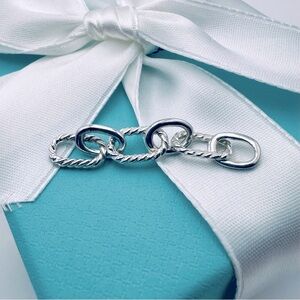 Tiffany & Co. Extra Links for Equestrian Charm Bracelet